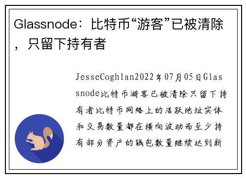 Glassnode：比特币“游客”已被清除，只留下持有者 