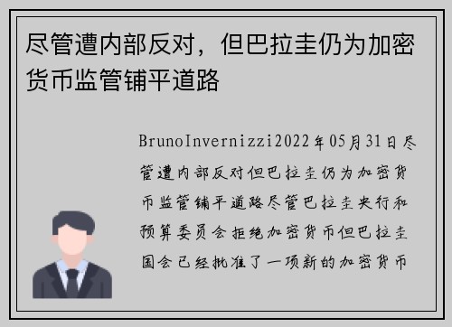 尽管遭内部反对，但巴拉圭仍为加密货币监管铺平道路 